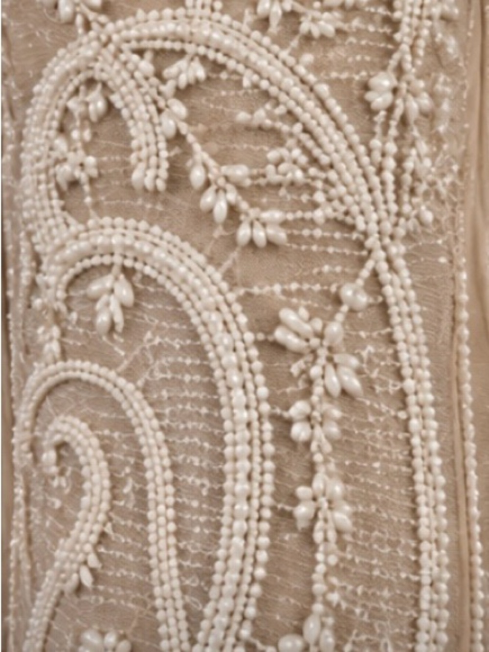 Embroidered Fringe Evening Gown in Champagne - Picture 4 of 5